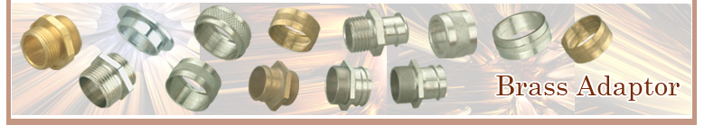 Brass Adaptor Flex
