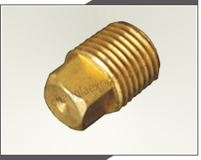 Brass Hex Plug