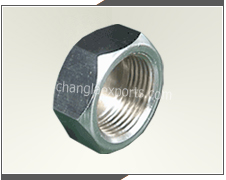 Hex Nuts Sanitary Fittings