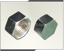 Hex Nuts Sanitary Parts