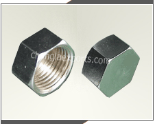 Brass Hex Nut Sanitary Fittings