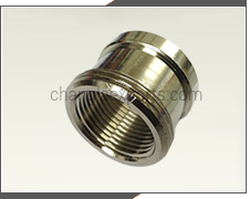 Sanitary Fittings