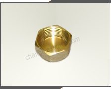 Brass Cap, Female Stop End